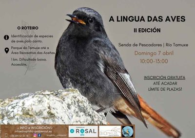 O Rosal ofrece el taller -A lingua das aves- para aprender a identificar aves por su canto