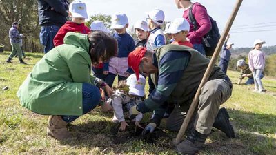 Autarquia de Cerveira Celebra Final de Perodo Letivo con Teatro, Plantacin de rboles y Chocolates