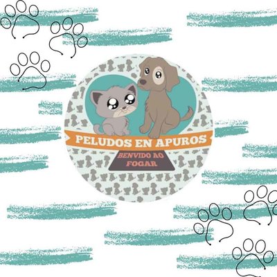 Tomio se prepara para una nueva jornada de adopcin de perros y gatos