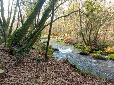 Fin de semana de aventura en Tui con las Rutas de Naturaleza por la senda del Furnia