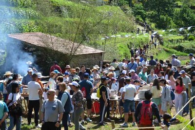 Tui se prepara para recibir la XXI Romera -Os nosos farieiros. Burros e Muos-