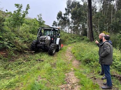 Cmara de Valena promueve intervencin forestal para prevenir incendios