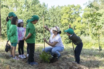 Tomio se rodea de vida con la plantacin de 212 nuevos rboles autctonos