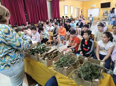 CEIP Plurilinge N2 de Tui celebra su 50 aniversario y recibe el primer premio Voz Natura