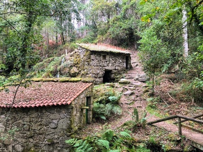 Las Rutas de Naturaleza continan este domingo con un recorrido por la senda del ro Tripes