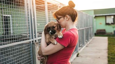 La Xunta de Galicia abre maana el plazo para solicitar ayudas a la adopcin de animales abandonados