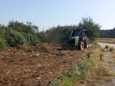 Vila Nova de Cerveira Limpia 48 Hectreas para Prevenir Incendios Forestales