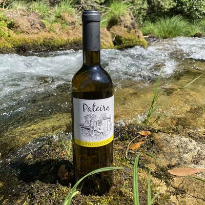Adega Pateira: Un viaje sensorial a travs del vino artesanal en O Rosal