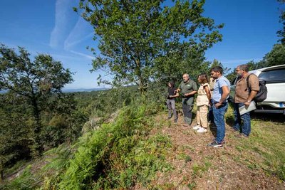 Parque Natural Monte Aloia recibir 200.000 euros para erradicar la acacia negra