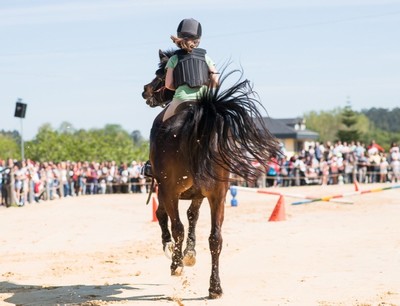 Tui acoge la Xuntanza Cabalar de San Bartolomeu con un programa variado para toda la familia