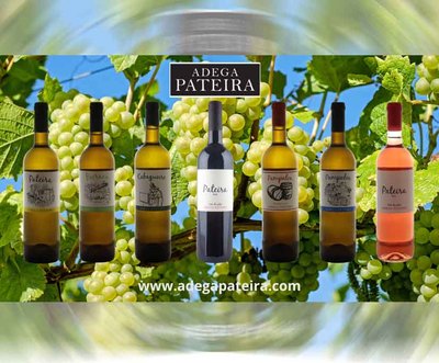 Vinos de autor: Adega Pateira te invita a una degustacin nica en el Monasterio de Oia