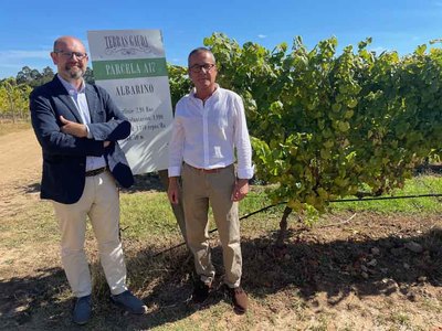 Innovacin y Sostenibilidad: Terras Gauda Lidera la Gestin Ecolgica del Viedo con NOVATERRA