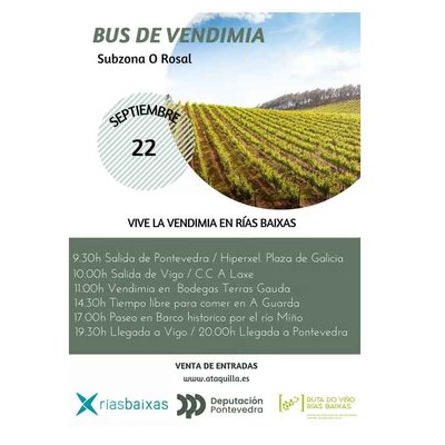 Buses da Vendima: Nuevas Rutas desde Pontevedra y Vigo para Explorar las Subzonas de Condado y O Rosal