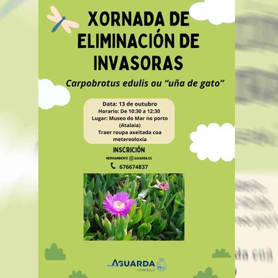Lucha contra la invasin: A Guarda realizar una jornada de eliminacin de -ua de gato-