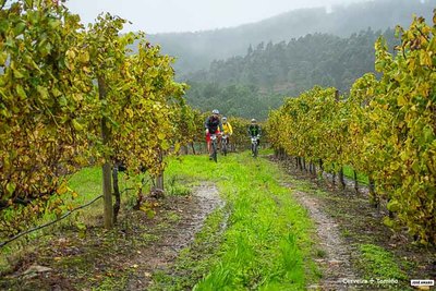 La Eurocidade celebra el I BTT Transibrico: ciclismo, paisajes y productos locales