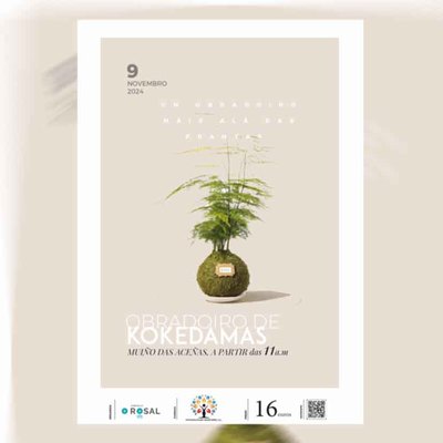 Taller de kokedamas en O Rosal: cmo crear jardines sostenibles con tradicin japonesa