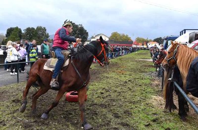 Valena Celebrar la Tradicional Feria de los Santos de Cerdal del 1 al 3 de Noviembre