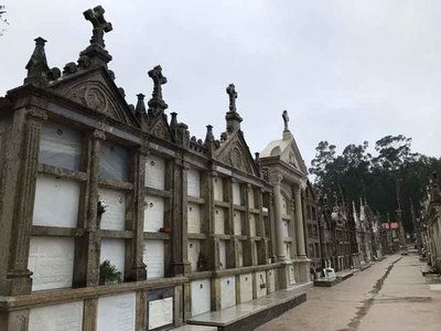 O Rosal y Baixo Mio destacan por el aumento del uso del gallego en inscripciones funerarias