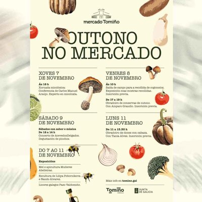 El Mercado Municipal de Tomio Celebra el Otoo con Msica, Cultura y Sabores Locales