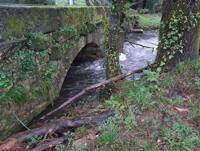 76.000 euros para la conservacin del ro Furnia: CHMS lidera mejoras en Tui