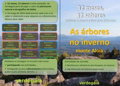 Andaina en el Monte Aloia: aprende sobre los secretos de los bosques invernales