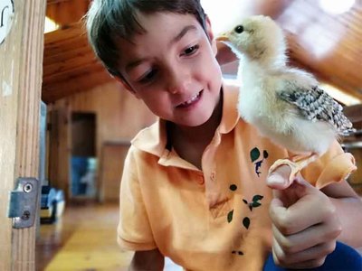 Vive o Rural: la Diputacin impulsa la conexin de los escolares con la vida rural