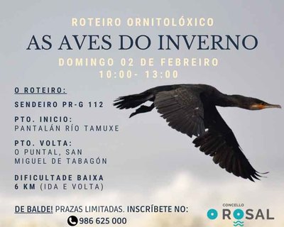 Naturaleza y observacin de aves: recorrido por el Tamuxe en O Rosal el 2 de febrero