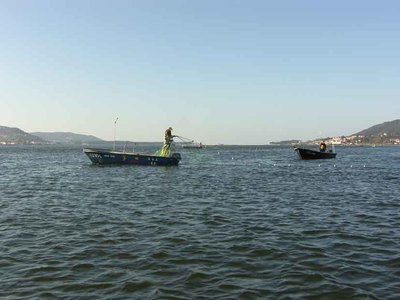 La pesca en el ro Mio en crisis: alertas y sueltas de agua agravan la situacin