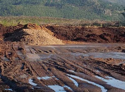 Controversia en Tomio: el PP acusa al BNG de inaccin ante la proliferacin de moscas