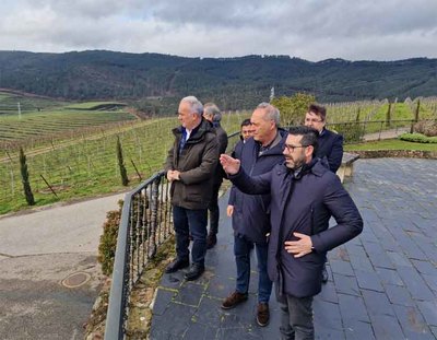 Ayudas de la Xunta para la reestructuracin del viedo: ms de 420.000 euros para el Baixo Mio