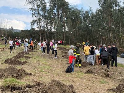 El alumnado del IES Salvaterra de Mio participa en una plantacin de rboles en el marco del proyecto Monte Vivo