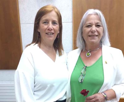 Las socialistas de Tomio critican la falta de soluciones frente a la plaga de moscas y exigen medidas urgentes