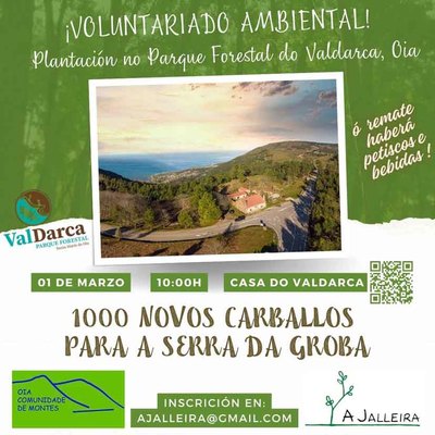 Voluntariado ambiental en Oia: Plantacin de 1000 carballos en la Serra da Groba