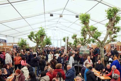 Arbomostra 2025: la gran cita gastronmica y cultural de la Fiesta de la Lamprea