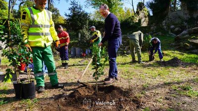 Valena celebra el Da del rbol recuperando el entorno del Mosteiro de Sanfins