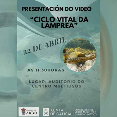 -El ciclo vital de la lamprea-: Arbo estrena documental para divulgar su emblema gastronmico y natural