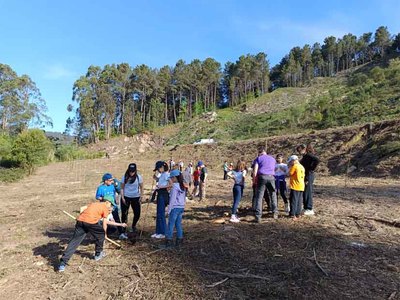 Tomio reparte ms de 5.500 rboles desde 2022 para prevenir incendios y fomentar la biodiversidad