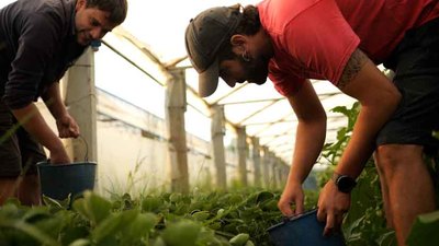 Galicia Suroeste lidera -Ruralmente-, unha iniciativa para poer en valor os produtos con selo de calidade