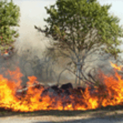 UN INCENDIO AFECT A UNA SUPERFICIE DE MONTE Y MATORRAL EN SALCIDOS -A GUARDA
