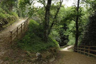 Arbo impulsa el turismo de naturaleza con mejoras en sus rutas del espacio Rede Natura