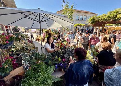 Miles de personas convierten la Feria de Cultivos del Baixo Mio en referente gallego del sector verde