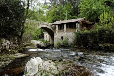 Descubre Arbo: aventura, tradicin y la lamprea como emblema turstico gallego