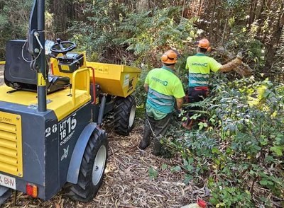 Retirada de biomasa y rboles cados en los ros de Oia como parte del plan de prevencin de riesgos de inundacin