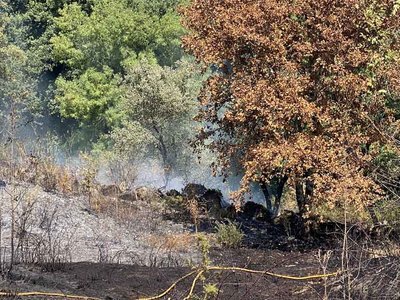 Comunidades de montes de Vigo, Val Mior y Baixo Mio coordinan patrullas contra el fuego