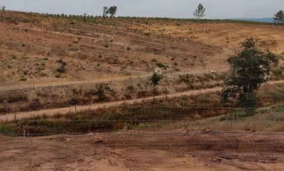 Exigen a Tomio frenar la deforestacin masiva y actuar contra la plaga de moscas que afecta a la localidad