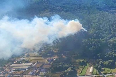 Controlado el incendio forestal en Pintn (A Guarda) tras afectar a ms de 2.000 metros cuadrados