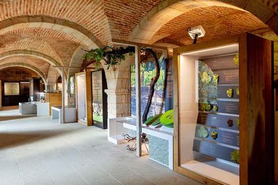 Salvaterra licita la modernizacin del Museo de la Ciencia del Vino con una inversin de 90.000 euros