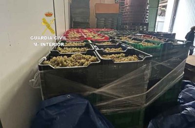 Denunciados un vecino de Salvaterra y un transportista portugus por introducir uva sin declarar en la DO Ras Baixas