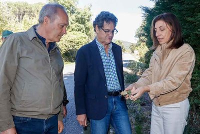 Medio Ambiente acta en Tui para erradicar la acacia negra y proteger el Monte Aloia