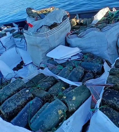 Comisados 192 kilos de pulpo y ms de 2.250 cacharros prohibidos en la costa de A Guarda